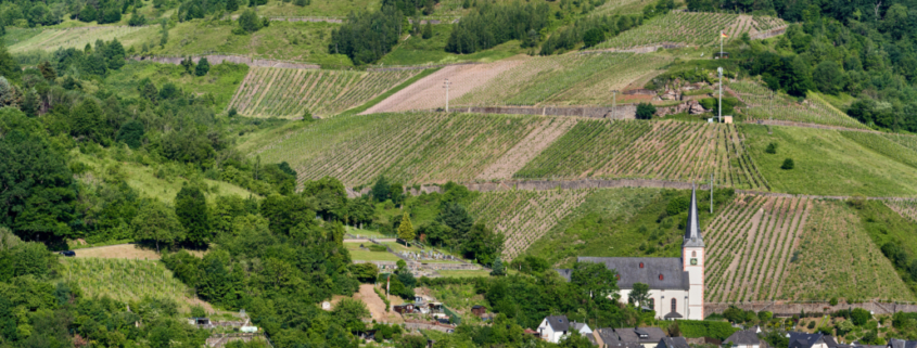 Eulenturm-nonnengarten